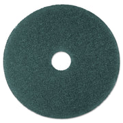 PAD,CLEANER,19",BE