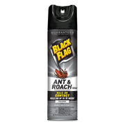 INSECTICIDE,BK FLG,ANT/RH