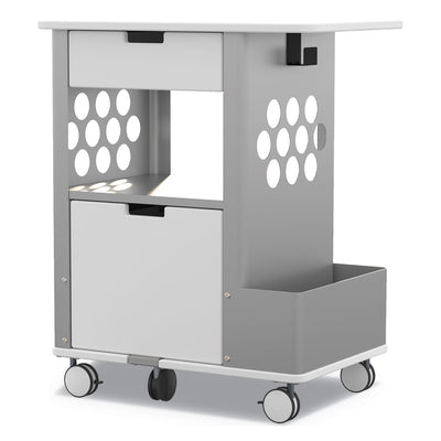 CART,ROLLING STORAGE,WH