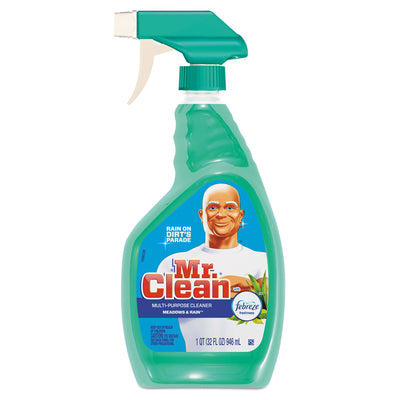 CLEANER,MR CLN,MDW,32OZ